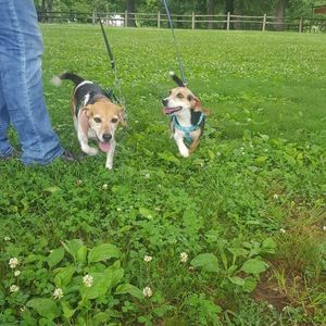 Meet your Posher, Nicholas